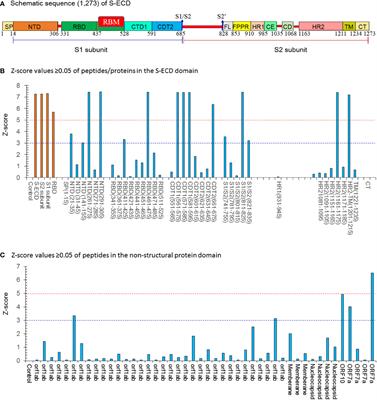 Novel neutralizing chicken IgY antibodies targeting 17 potent conserved peptides identified by SARS-CoV-2 proteome microarray, and future prospects